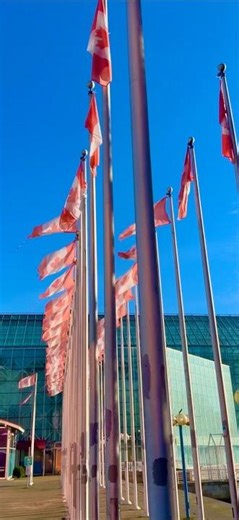 Big Kids Playground: BC Place, the Science Center, through Olympic Village, across Cambie Bridge ..