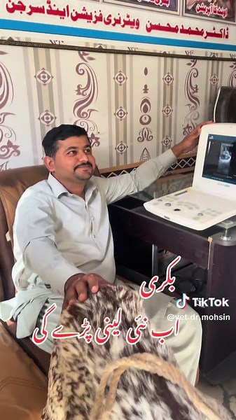 Goat Ultrasound: Understanding Goat Pregnancy