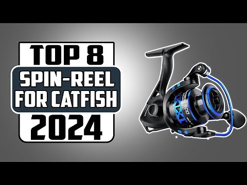 Top 8 Best Spinning Reels for Catfish Fishing In 2024 Expert Picks & Reviews