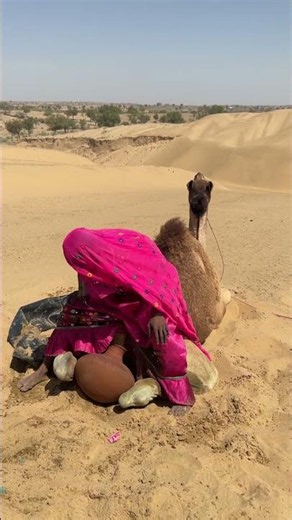 مشهد لسحب إناء فخاري من خلف جمل