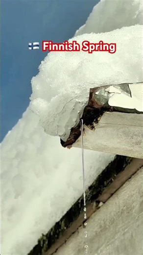 WHY IS THE 🇫🇮 FINNISH SPRING LIKE THIS? #finland #nature #nordic