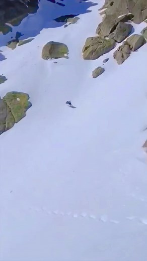 845K views · 10K reactions | Mountain animal #goat #ibex #markhor #reelsvideos #treks #adventure #mountain #snow #world #nature | Gilgit Baltistan Adventure Treks and Tours Pakistan | Facebook