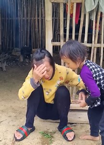 Go collect the star fruit and sell it to purchase quick noodles for the infant. #singlelife #baby #poor #reelsfypシ #reelsvideo | Lifes Village