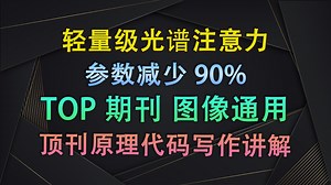 只用1/10参数，还能吊打大模型？轻量级光谱注意力太狠了！| 即插即用模块与论文写作【V1代码讲解189】