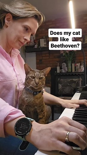 Cats Enjoy Classical Music: Piano and Cats Harmony
