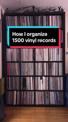 Organizing 1500 Vinyl Records: A Genre-Based Guide
