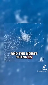 858K views · 13K reactions | Why you should never jump off a boat into the open open 﫣 | Ghosts Aliens and other Weird Shit | Facebook