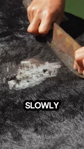 Ancient Food Made From Cow Skin | You Won’t Believe This 😱 #sacred