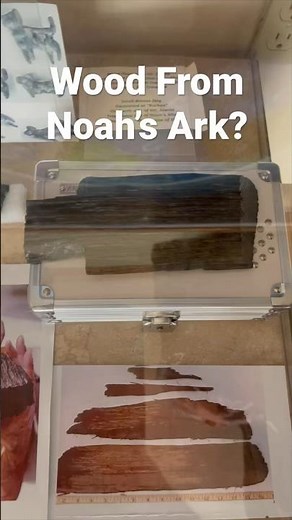 Is THIS Gopher Wood from Noah’s Ark?