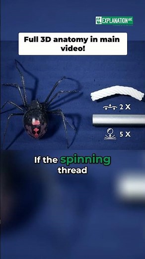 Spider Silk: Amazing Strength and Incredible Properties #shorts