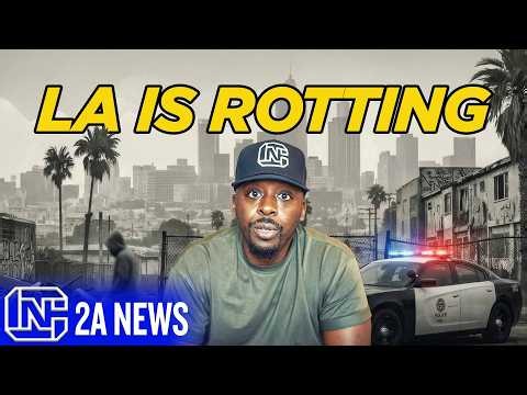 LA Burglars Aren’t Afraid Anymore… And This Video Proves It