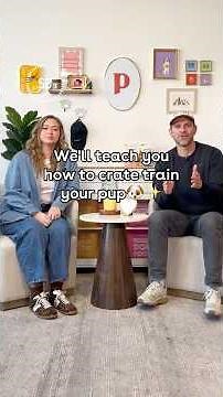 Back to Basics: Dog Training 🐾 Episode 3 — Crate Training (Part 2)