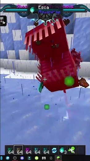 HOW TO GET FIN in the AQUAMIRAE MOD