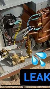 RV Tankless Water Heater (Furrion) Leaking