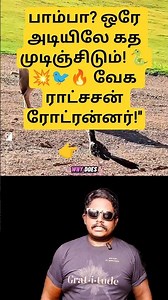 ஓடு… ஓடு… இடியைவிட வேகமா! ⚡🐦 பாம்புகளின் கனவுக்கொலைகாரன் Roadrunner ரகசியம்!"