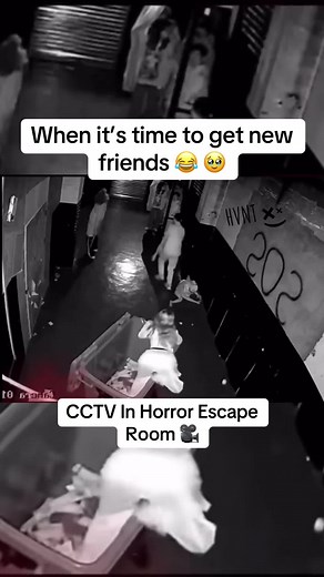 Horror Escape Room: CCTV Footage Reveals Unexpected Moments