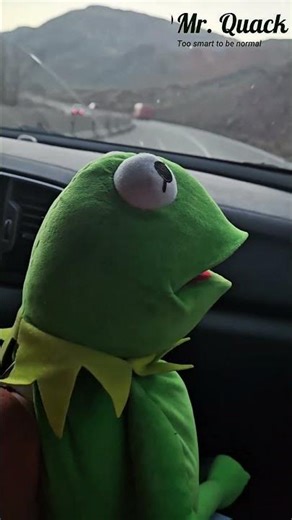 Mr Quack in Crazy Frog mode. #parody #muppets #crazyfrog