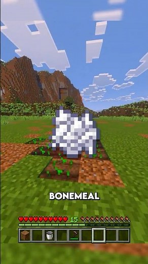 The FASTEST Way to Grow Crops in Minecraft!