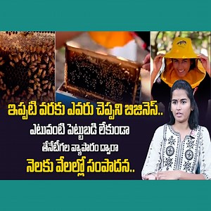 159K views · 4.7K reactions | How To Start Honey Bee Farming Business | Business Management | Money Earning Ideas | SumanTV Money #money #latest #trending #exclusive #sumantvmoney | Sumantv Money | Facebook