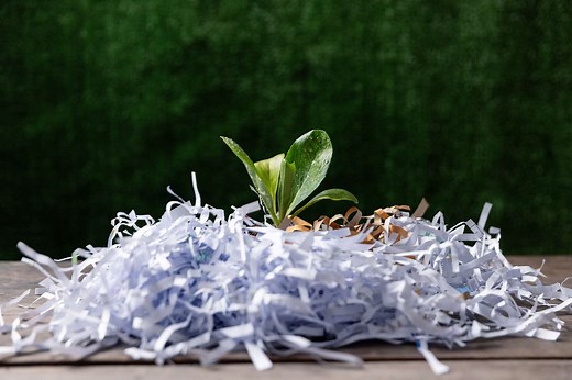 3 Helpful Ways To Use Shredded Paper In Your Garden