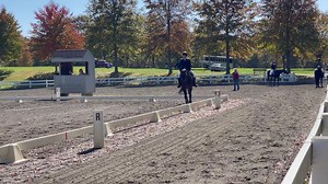 JB and Liz doing First Level test 2 with an incredible score of 74.42 🤩 | JB - the Standardbred that can wear any bridle.