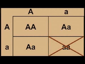 USMLE Practice Questions and Answers #48 | Genetics