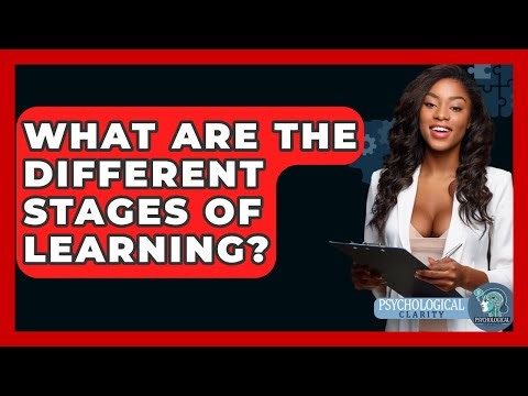 What Are The Different Stages Of Learning? - Psychological Clarity