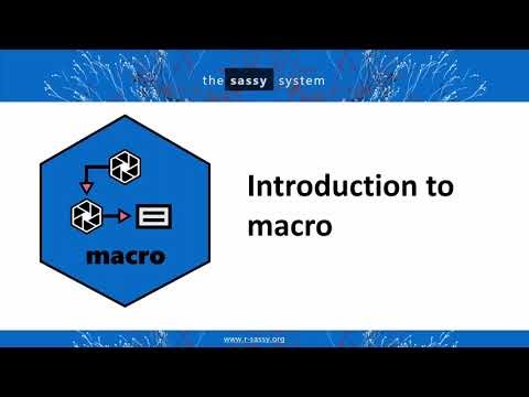 Introduction to the "macro" R package