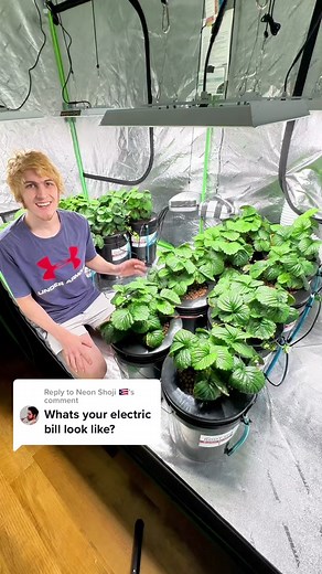 Ditch The Flock on TikTok