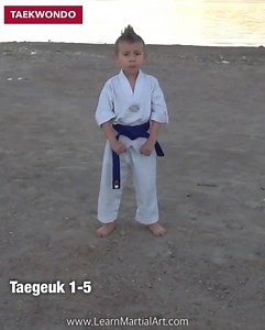 Taegeuk 1-5 by 6 years old tkd Kid | TAEKWONDO