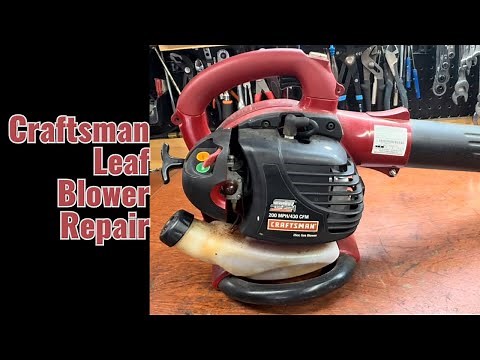 Craftsman leaf blower not starting? Do this!