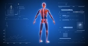 3d Human Body Hud Body Scan Stock Footage Video (100% Royalty-free) 1027525721 | Shutterstock