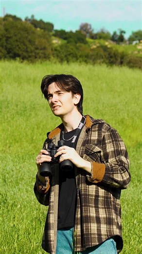 What is the airspeed velocity of an unladen swallow? #funny #meme #qna #skit #film