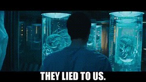 They lied to us.