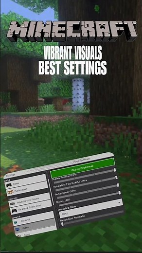 BEST SETTINGS OF VIBRANT VISUALS IN MAINCRAFT