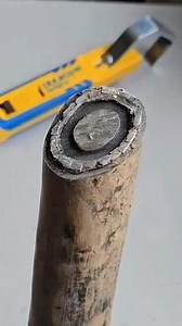 What the best loophole on an exam you have ever witnessed? | LoopStories