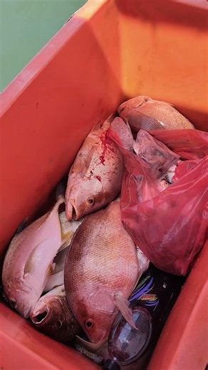 Padu Hasil Depa...