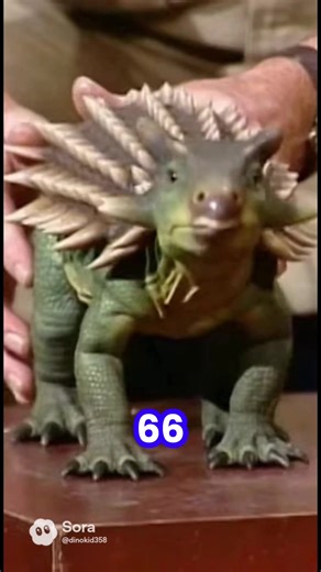 Awwww cute baby ninja turtle Dino #prehistoric #dinosaur #zoo #paleontology