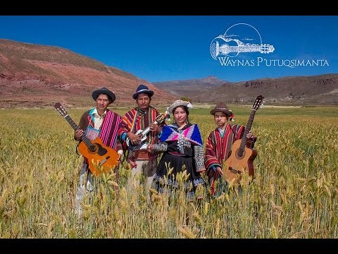 Charangos de Bolivia #11 | Waynas P´utuqsimanta | Potosí
