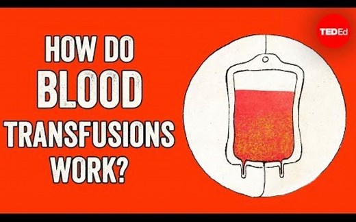 【Ted-ED】输血的运作原理 Blood Transfusions