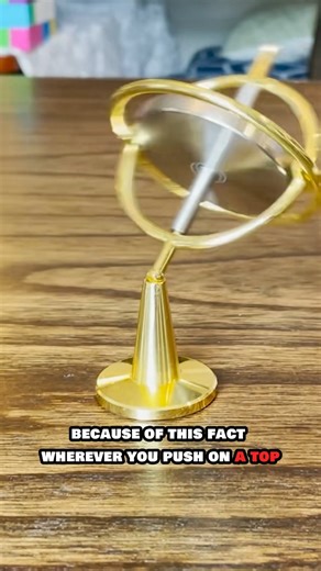 Spinning a top within a top ​🌀​ #science #physics #education #spinning #experiment #reels | The Action Lab