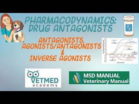 Drug Antagonists, Agonist/Antagonists and Inverse Agonists