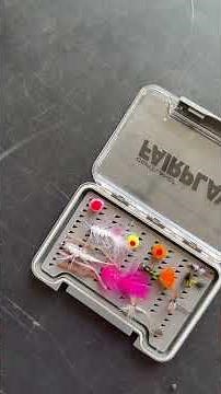 This Is The Best Rig For Trout Using Bait Or Flys #fishing