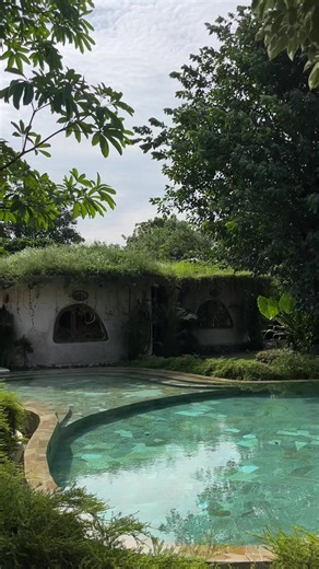 Bali is magical ✨🌴 #Bali #travel #nature #alpacas #Shrek