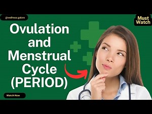 What Really Happens During Ovulation and the Menstrual Cycle? | Explained Simply