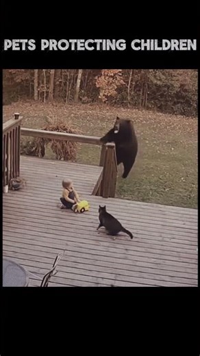 Cat Saves Baby From Danger - Heroic Pet Rescue