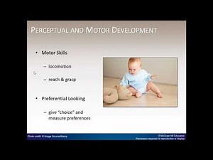 Chapter 9 Human Development Narrated PowerPoint