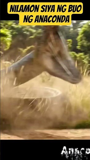 Anaconda 2025 #rickytv #tagalogmovierecap #tagalogmovierecap #kmjsgabinglagim #tagalogrecap #movie