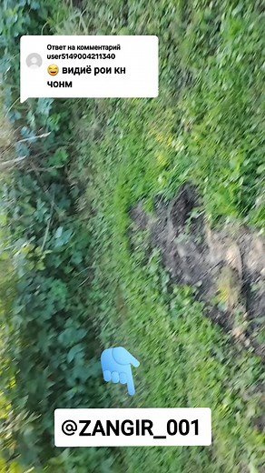 Ответ пользователю @user5149004211340 #топ #балашиха #рекомендации @Dilnoza👑