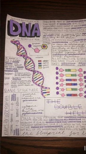 DNA Biology PHYSIOLOGY #DNA